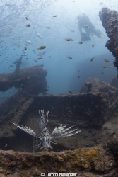 Boonsung wreck, Canon 5dM2 FE 15m, Ikelite Housing, natur... by Tommi Majlander 